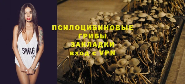 бошки Абинск