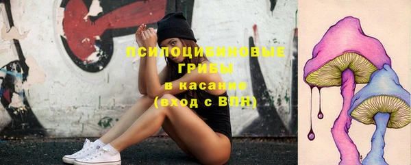 бошки Абинск