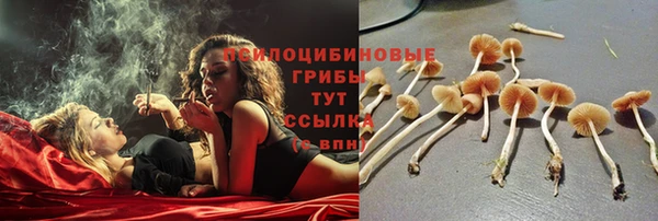 бошки Абинск