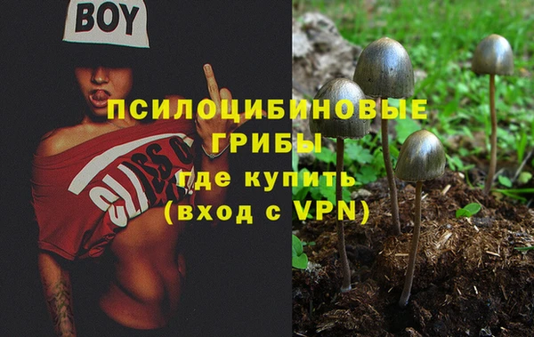 скорость Липки